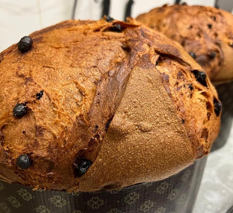 panettone
