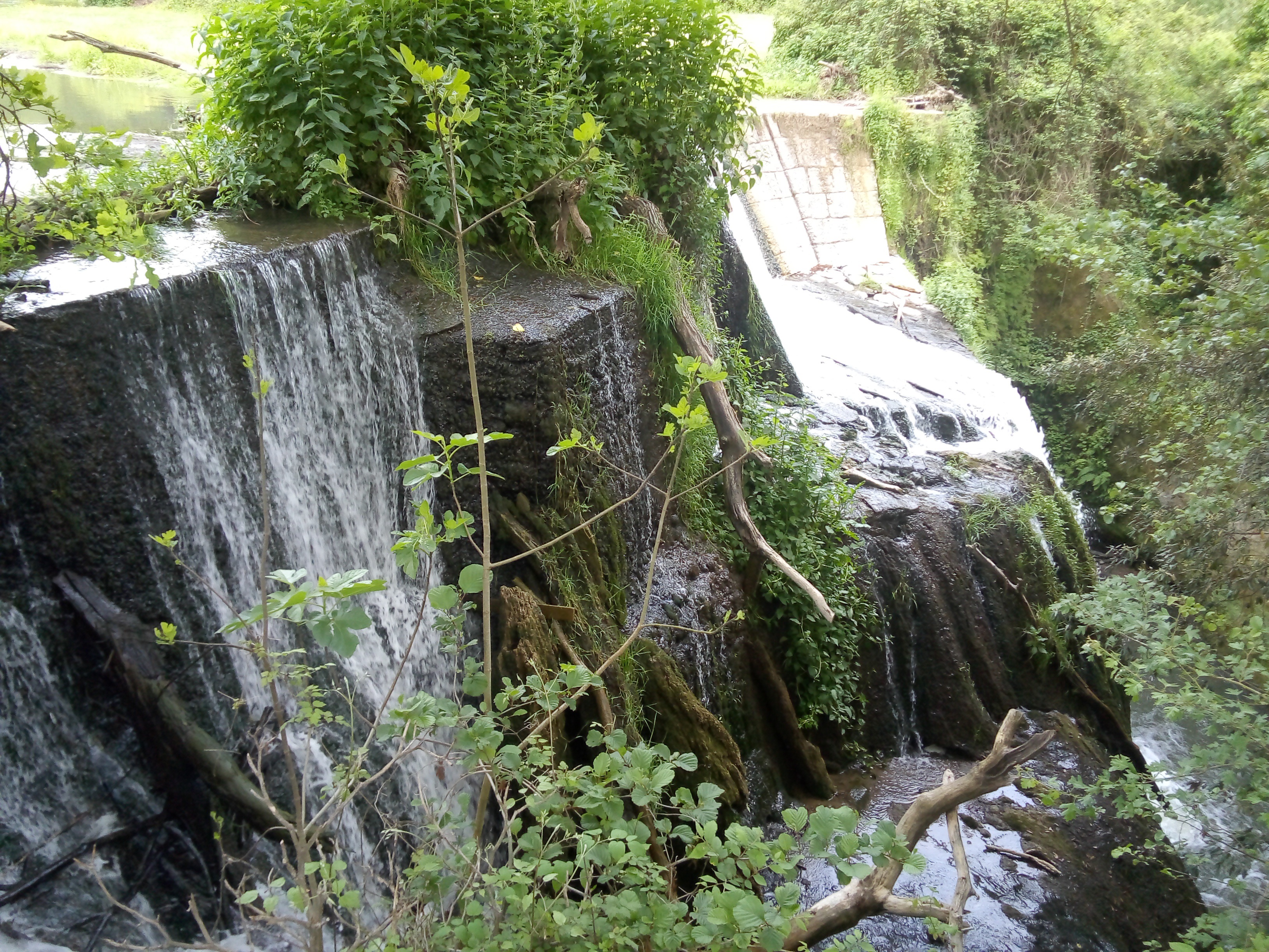 parco di veio