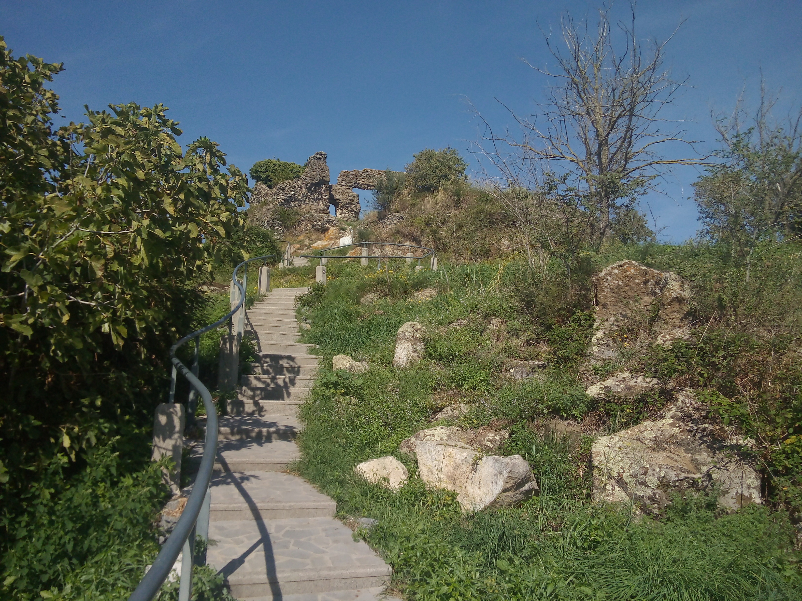 rocca trevignano
