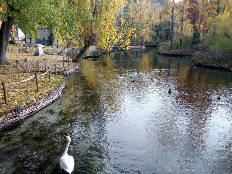 fonti del clitunno