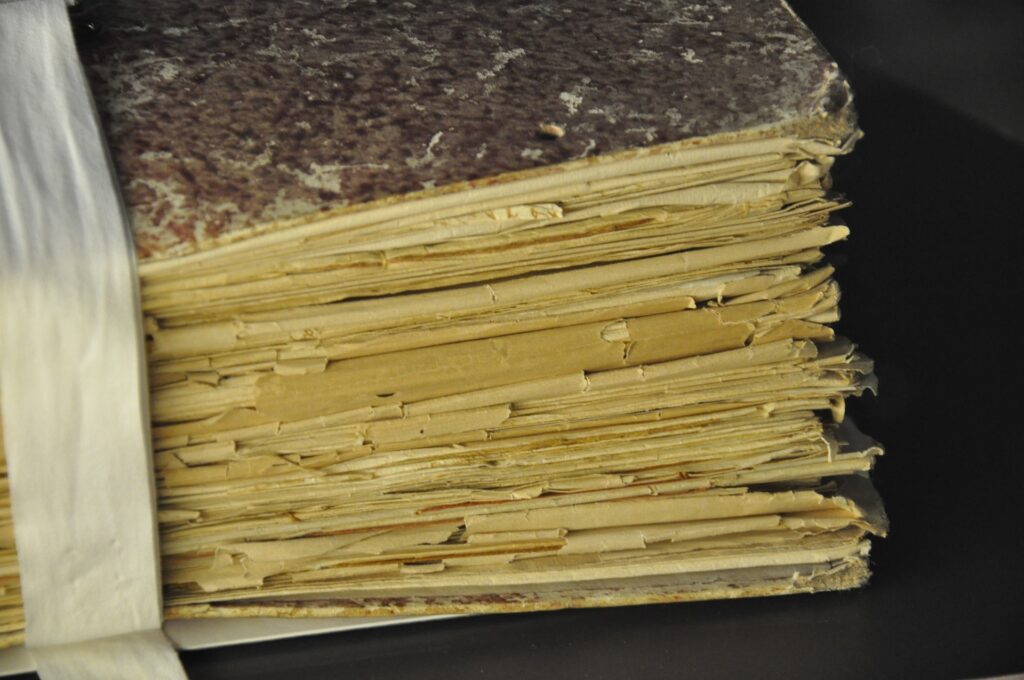 codex gigas