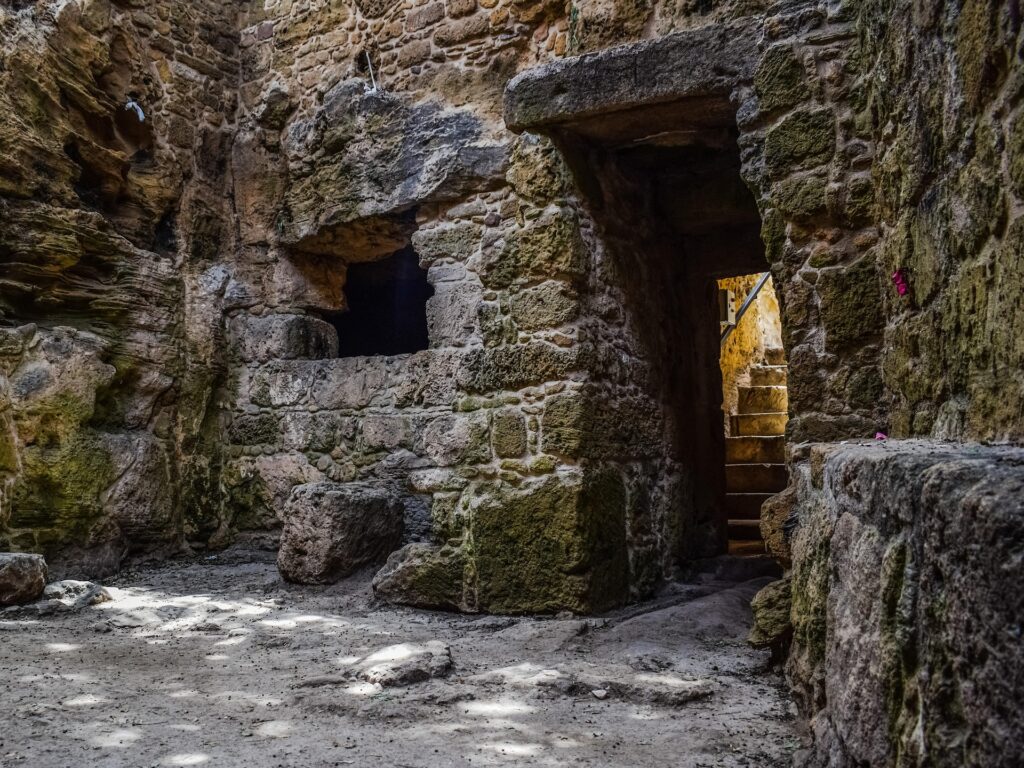 le domus