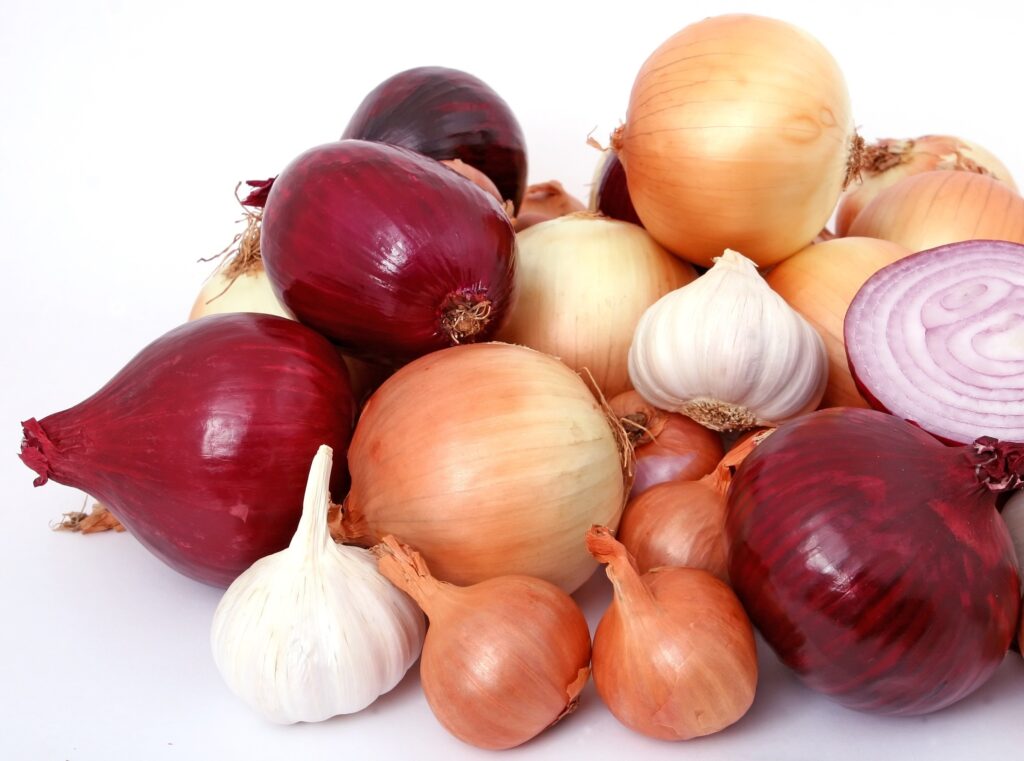 cipolla
