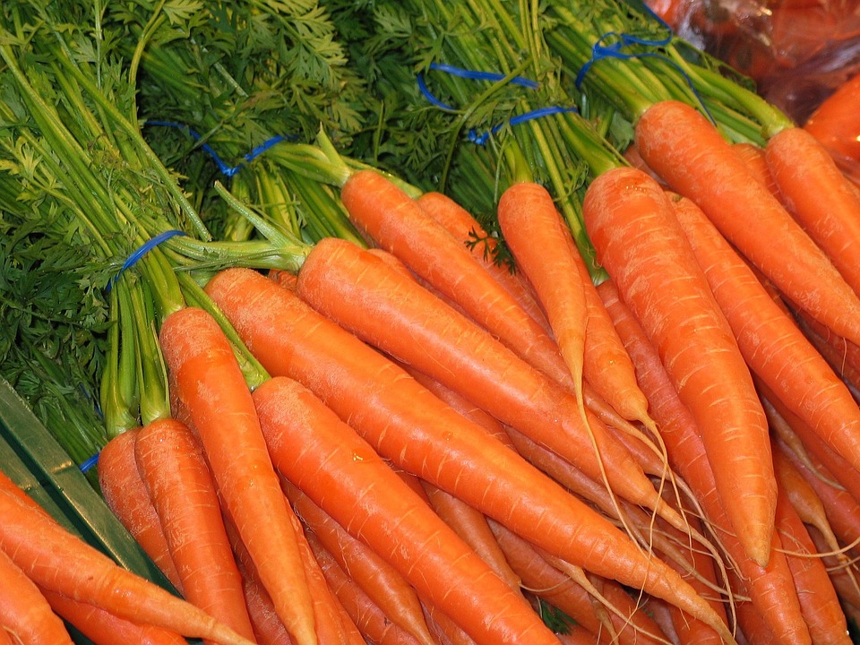 carota