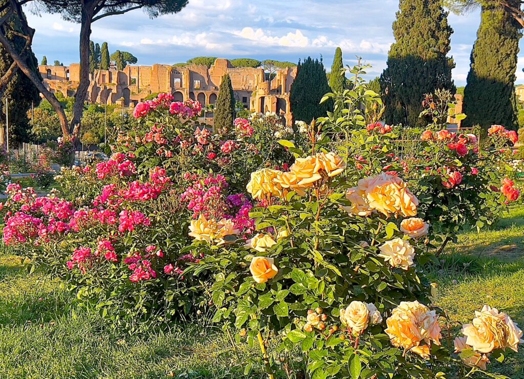Roseto